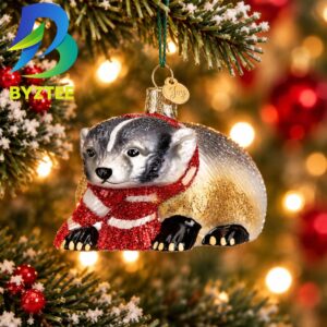 Badger NCAA Gifts For Fan Christmas Tree Decorations Ornament