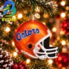 Florida Hoodie NCAA Gifts For Fan Christmas Tree Decorations Ornament