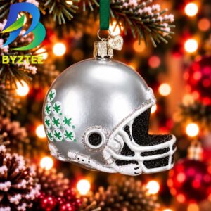 Ohio State Helmet NCAA Gifts For Fan Christmas Tree Decorations Ornament