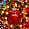 Ohio State Helmet NCAA Gifts For Fan Christmas Tree Decorations Ornament