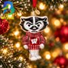Wisconsin Baseball Cap NCAA Gifts For Fan Christmas Tree Decorations Ornament